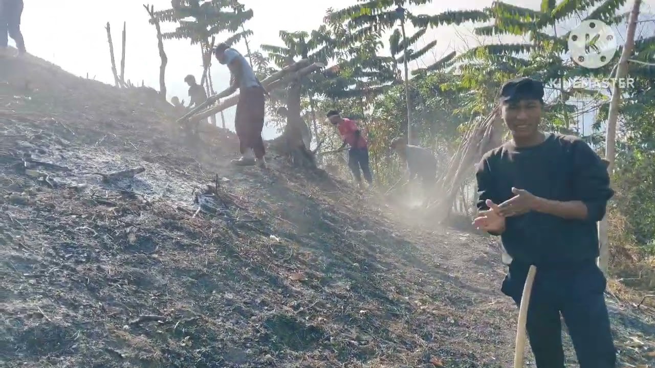 Jhum cultivation of the Jakphang village 