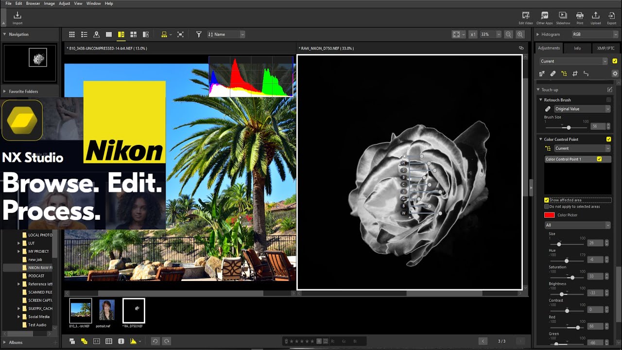 📌ЧЕСТНЫЙ обзор NIKON NX Studio и полное руководство для начинающих [ИМПОРТ, ЛОКАЛЬНЫЕ НАСТРОЙКИ Д...