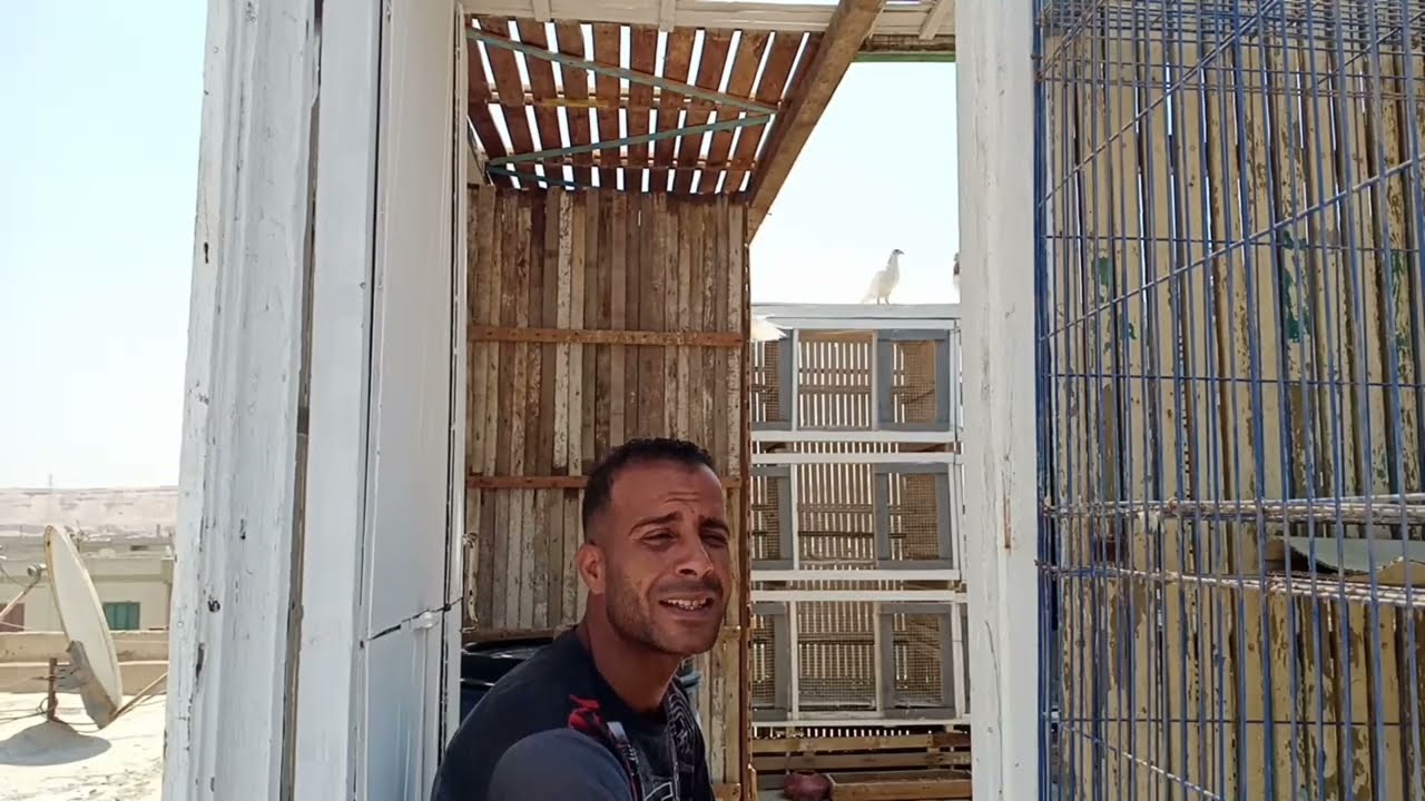 ازي تعرف انك عندك بيوت حمام جامده_واخبار الحمام بعد لمه انقل من السلاكة