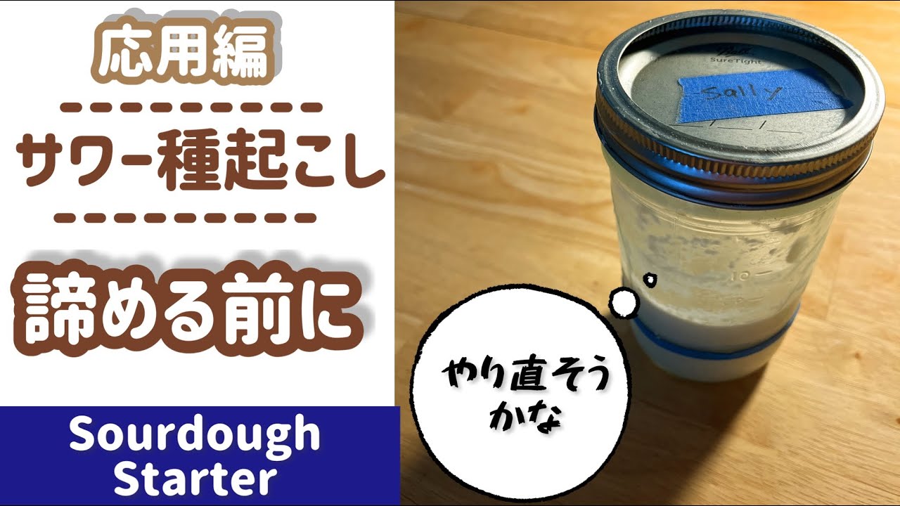 【サワー種/応用編】種起こし諦める前に！