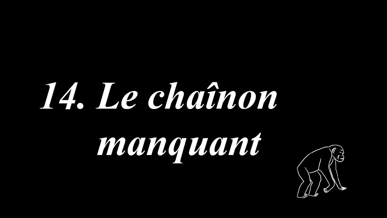 Du big bang &agrave; Rosalie (14/36) : Le cha&icirc;non manquant