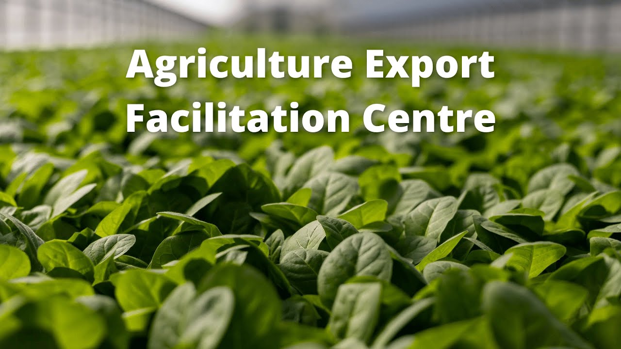 Agriculture Export Facilitation Centre | Part 02 of Series - What Does MCCIA Do?