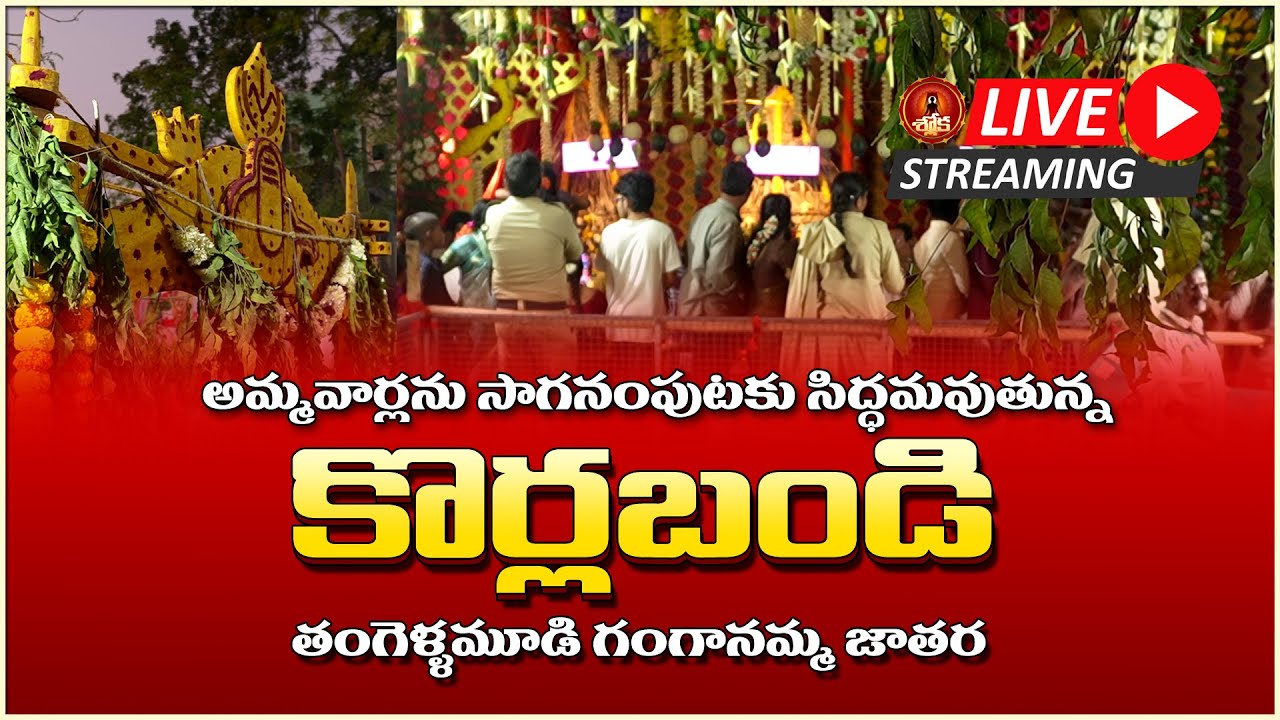 సిద్ధమవుతున్న కోర్లబండి | Tangellamudi Ganganamma Jatara 2026 LIVE | Jatara Korla Bandi