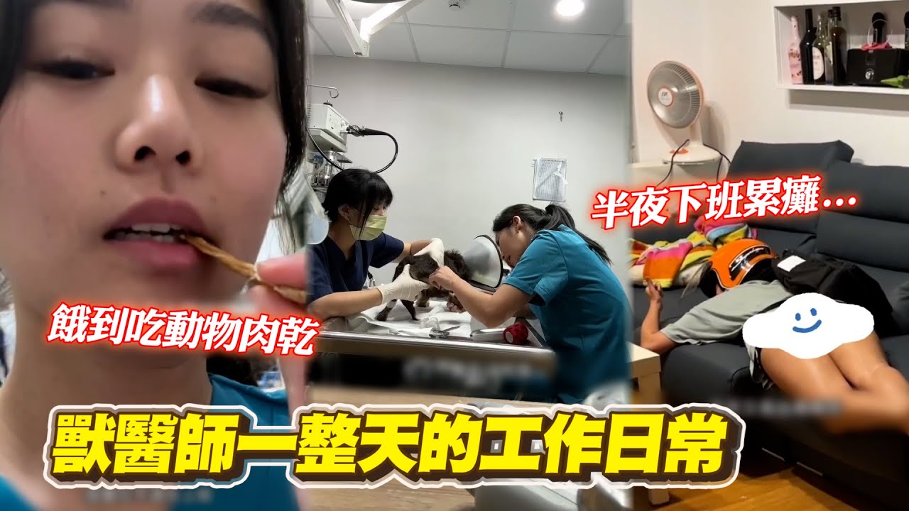 獸醫師記錄工作日常！忙到半夜下班、吃動物肉乾充飢｜職業｜工作