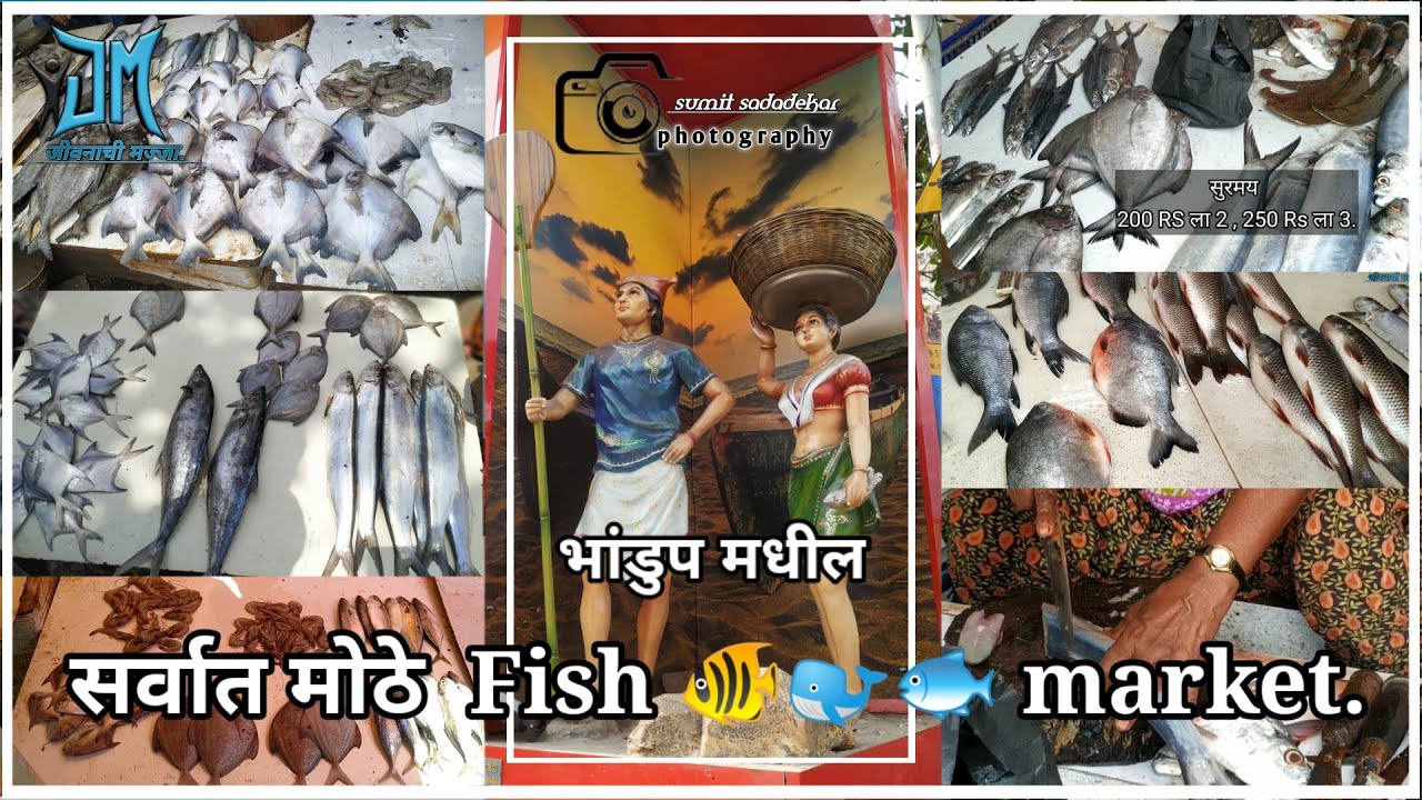 भांडुप मधील सर्वात मोठे मच्छि मार्केट || Big fish market in bhandup ||jeevanachi majja vlogs
