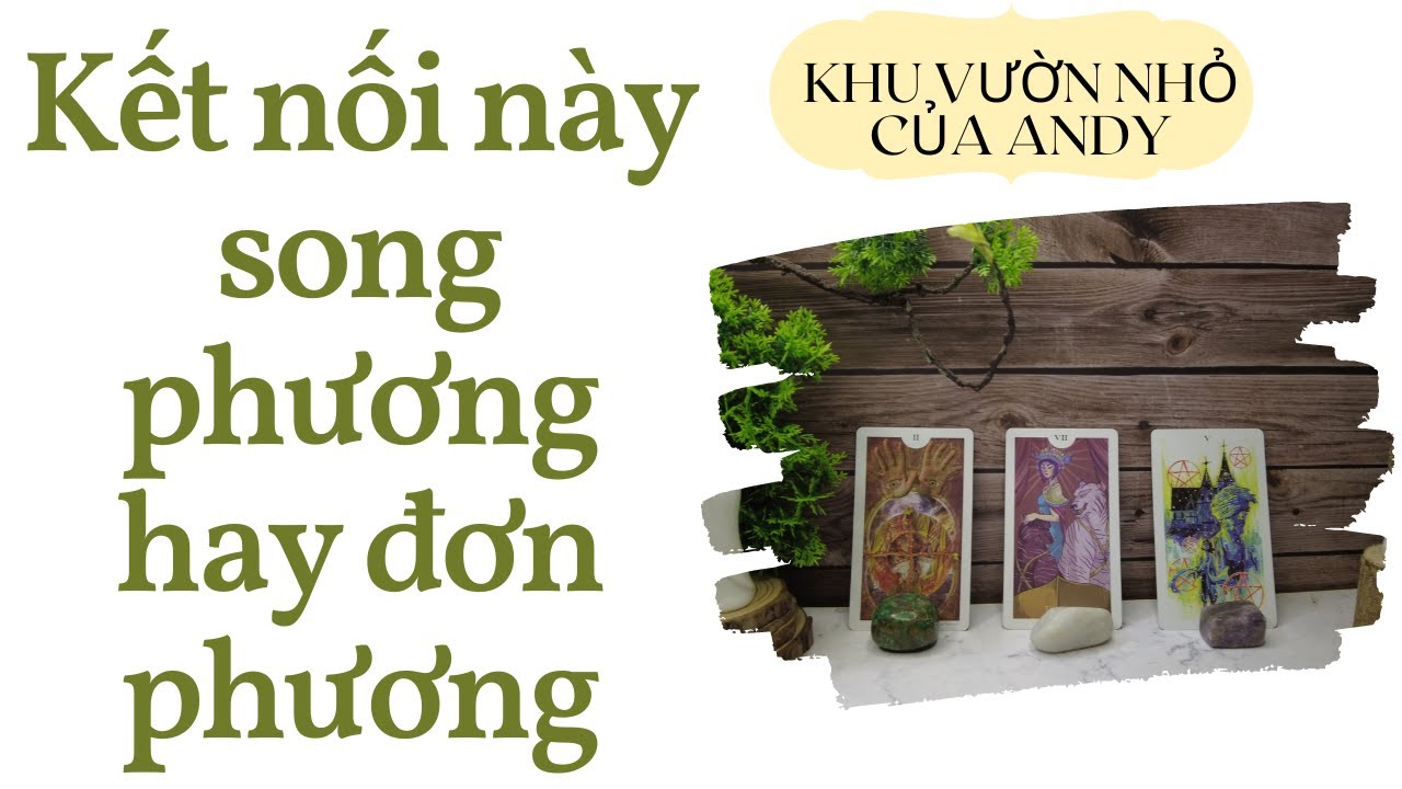 Kết nối này song phương hay đơn phương {Mới quen/Đang tìm hiểu/Crush}  | Chọn 1 tụ bài | Xem tarot
