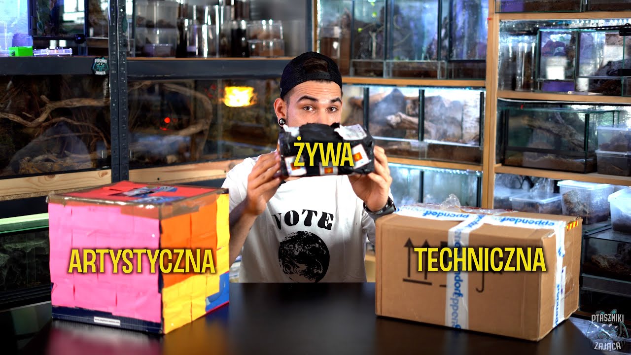 ŻYWA PACZKA NIESPODZIANKA + DWA KONKURSY!
