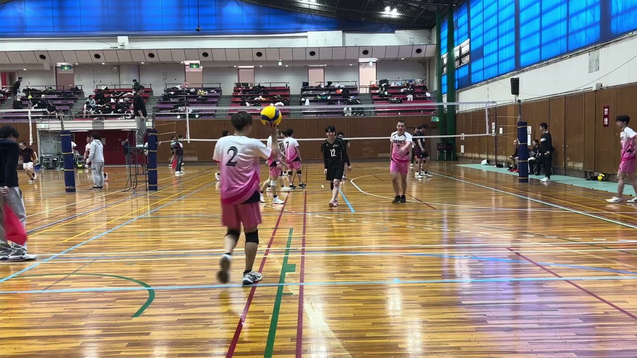摂津排球会