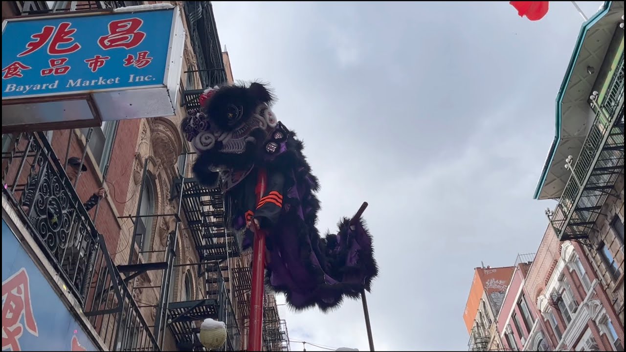 New York Choy Lay Fut Bare Foot High Pole Lion Dance- Chinese New Year/ Super Saturday 2024  🦁🥬🦶🏼