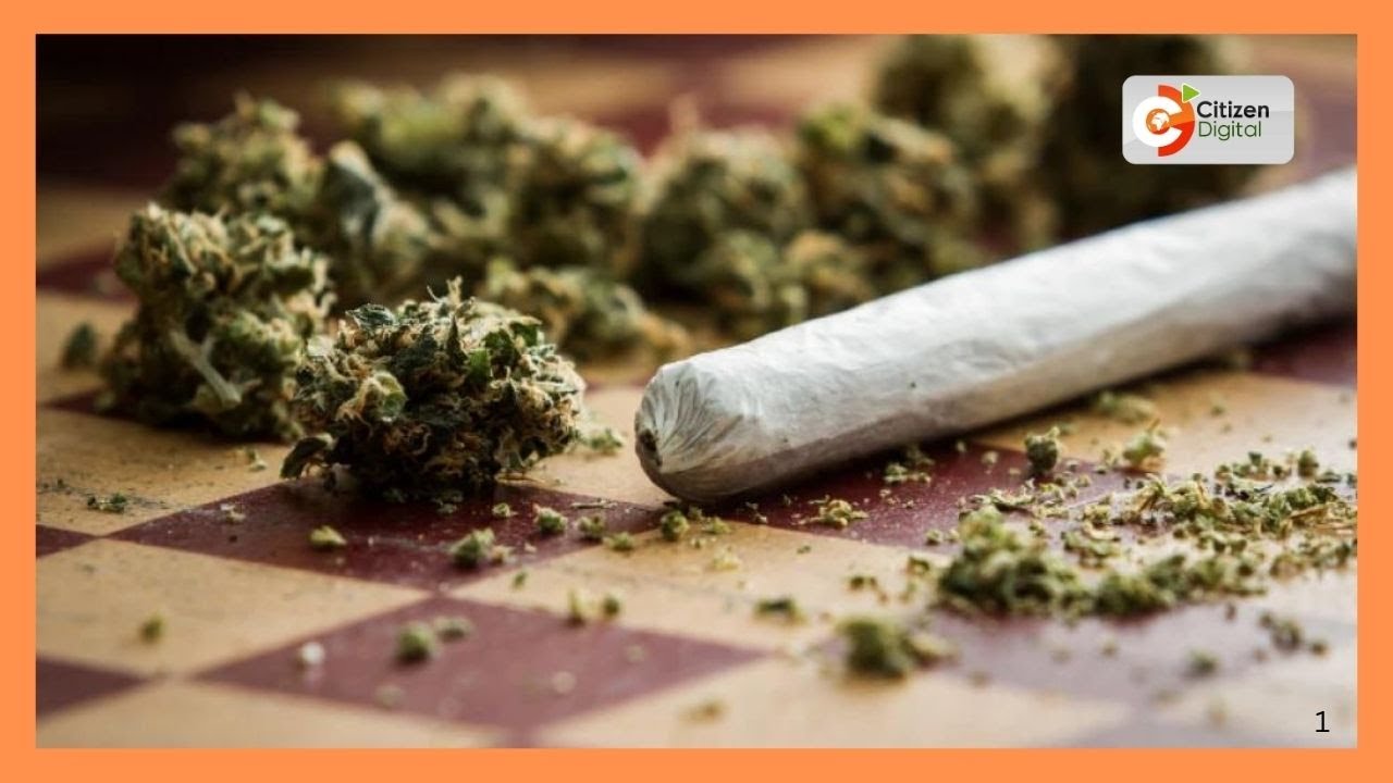 Police have seized bhang worth ksh.4.5m in Mombasa County