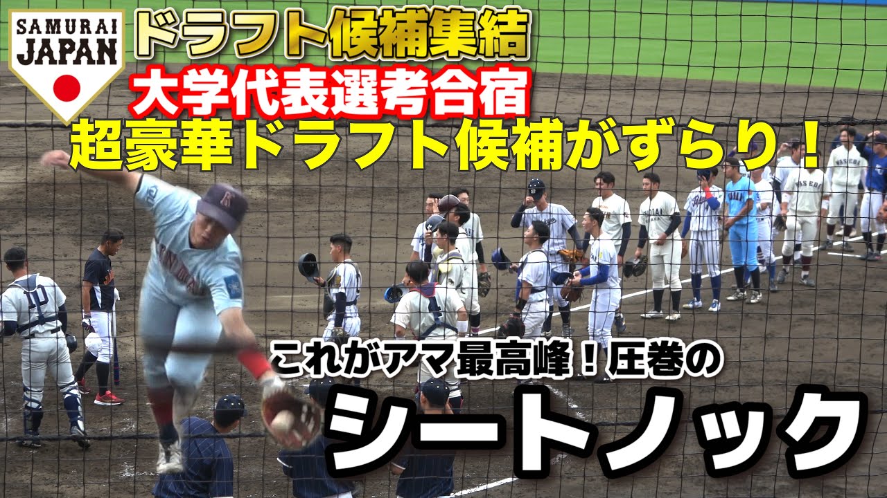 【アマ最高峰】　侍ジャパン大学代表選考合宿　シートノック　超豪華！ドラフト候補がずらり！　強肩・圧巻の守備！　2024.6.23