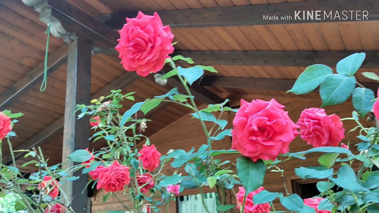 Варалло, Италия(Varallo, Alagna,  Postua), 2019