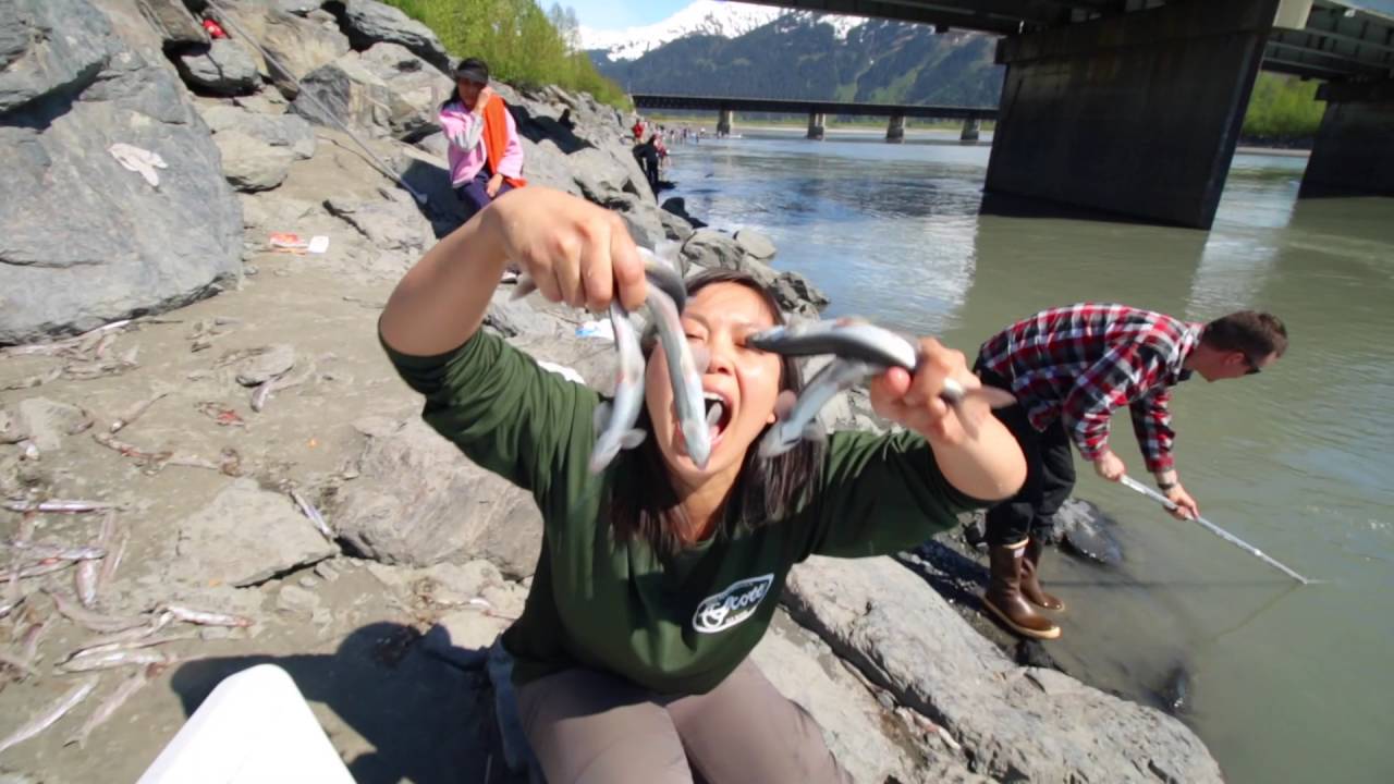 Hooligan Dip Netting Vlog