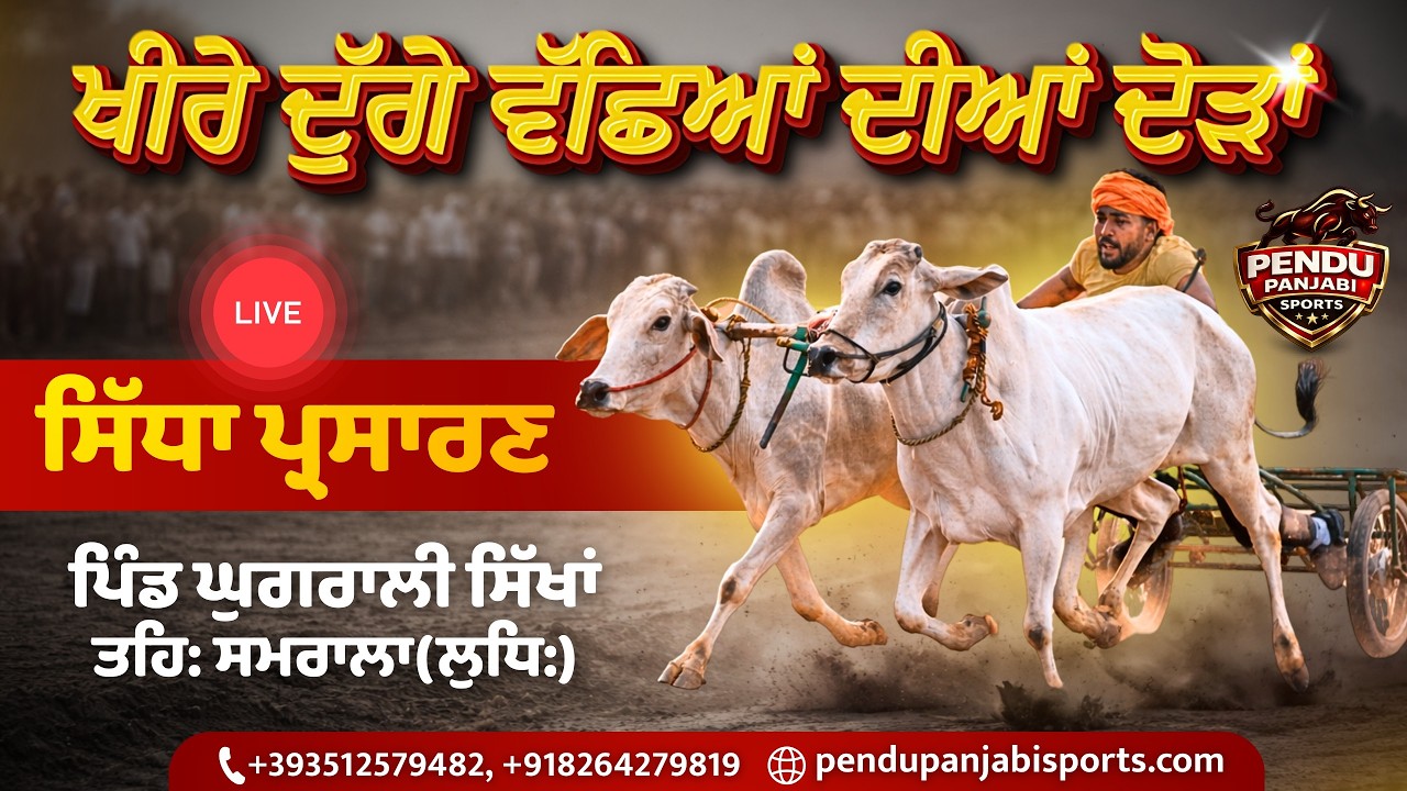 ਤੁਸੀ ਦੇਖ ਰਹੇ ਹੋ ਪਿੰਡ ਘੁੰਗਰਾਲੀ ਸਿੱਖਾਂ ਨੇੜੇ ਸਮਰਾਲ ਤੌ ਬੱਲਦਾਂ ਦੀਆਂ ਦੋੜਾਂ ਦਾ ਸਿੱਧਾ ਪ੍ਰਸਾਰਣ 04 ਮਾਰਚ 2026