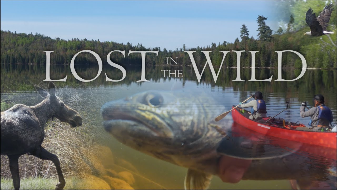 9 Day / 104km Wilderness Trout Fishing Canoe Trip | Moose, Eagles, Brook Trout 4K