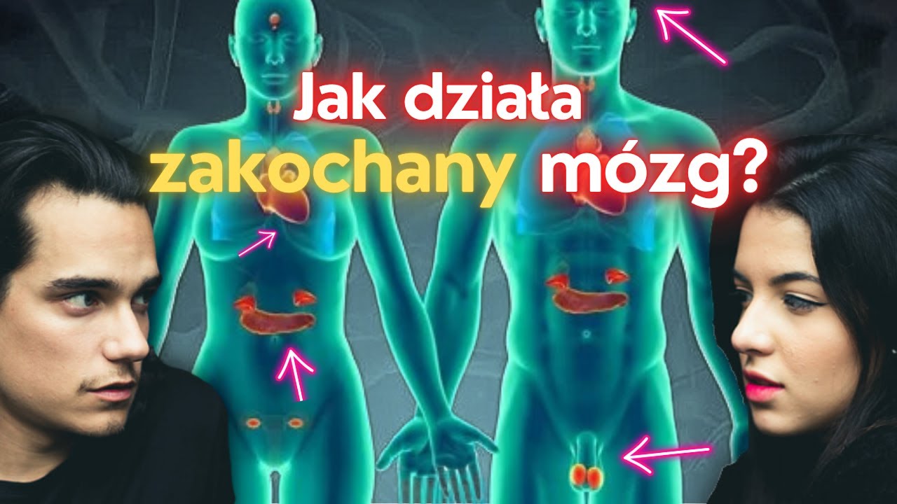 Przygotuj się, zanim się ZAKOCHASZ