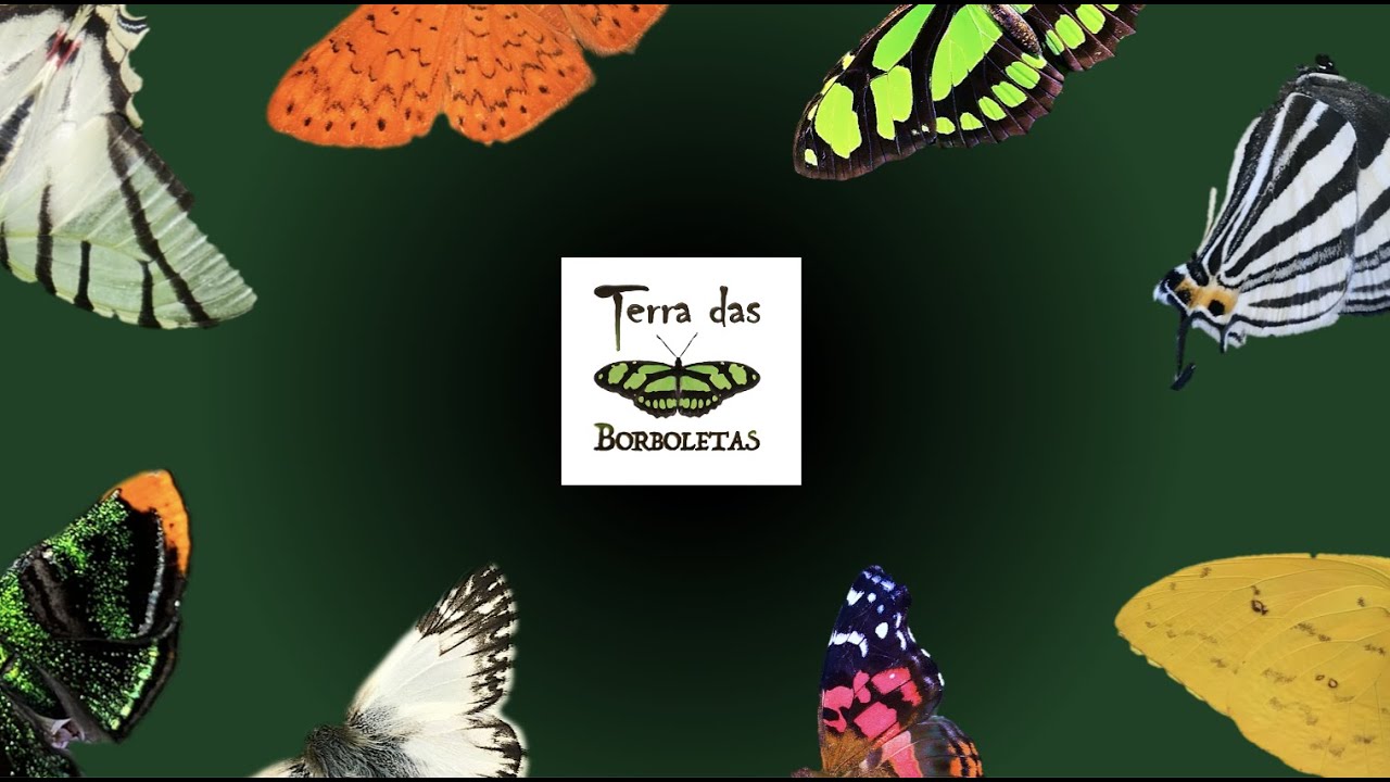 TERRA DAS BORBOLETAS APRESENTA
