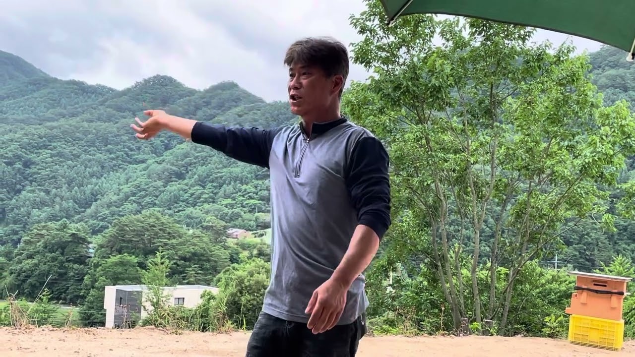 토종벌 여왕벌 숫벌 교미과정 신기하다