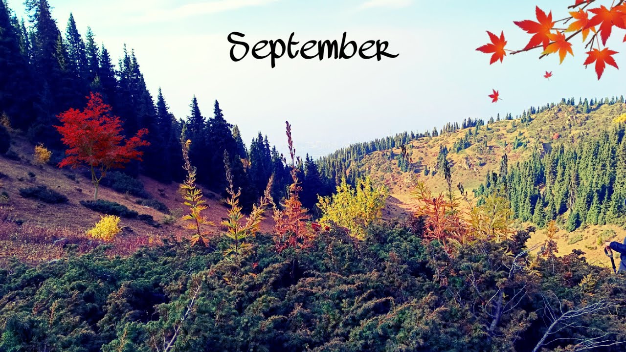 Кок-Жайляу, Три Брата - необычный маршрут. (Осень в горах Алматы) 🍂🍃🍁