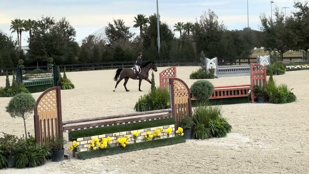 Le Balou HS