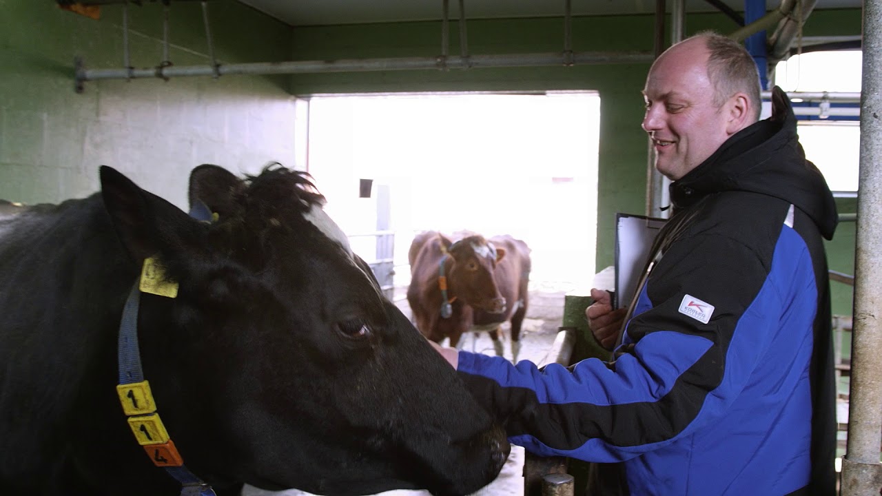Improving Milk Quality & Udder Hygiene | Dairy Farming Lessons | DeLaval