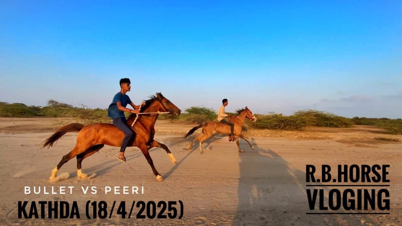 Kathda horse race 🐎🌪️ (18/4/2025) / Bullet vs peeri / ude toj ha Bullet 🔥#horse #horserace
