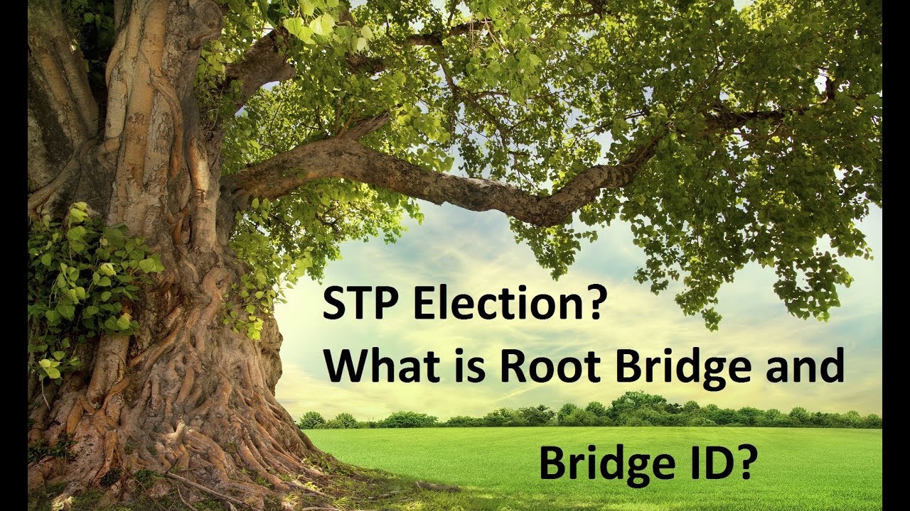 3. STP algorithm, what is Root Bridge and Bridge ID?