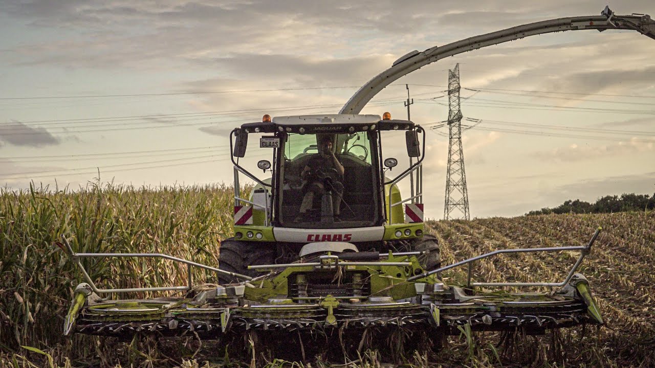 Nowy Nabytek 2024?! 925KM!㋡ Claas Jaguar 970 & GR Zawadzińscy㋡