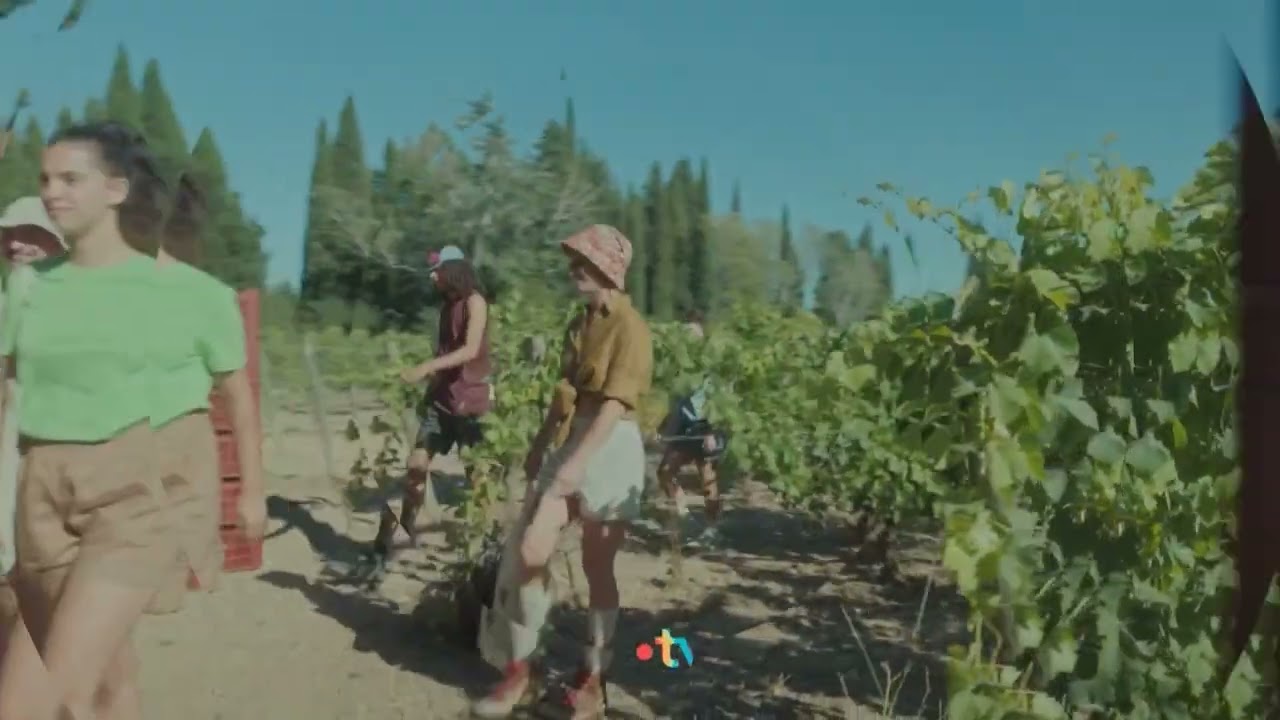 France 3 - Jingle Pub D&eacute;but (2025)