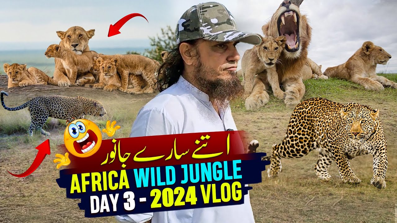 Sher Or Hiran Ki Bhaag Dor - Africa wild Jungle - Mufti Tariq Masood Vlog