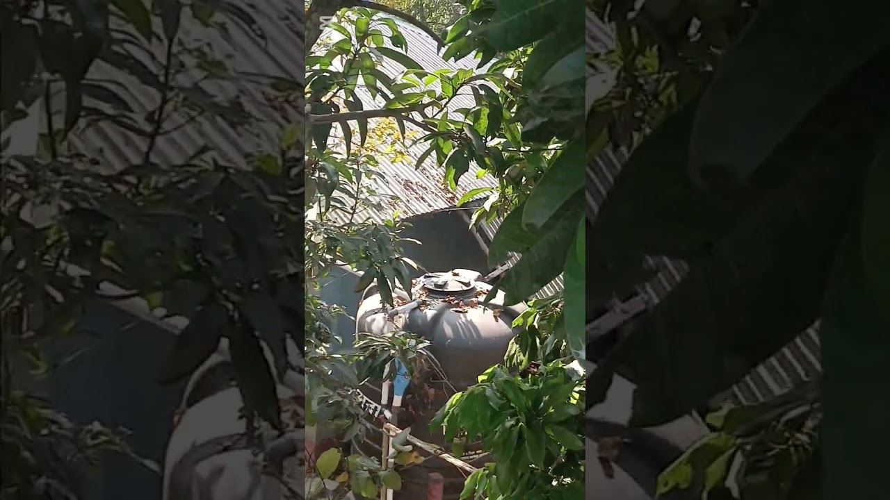 দীর্ঘ ১৫ বছর পর নির্বাচন  বাড়িতে এলাম ভোট দিতে