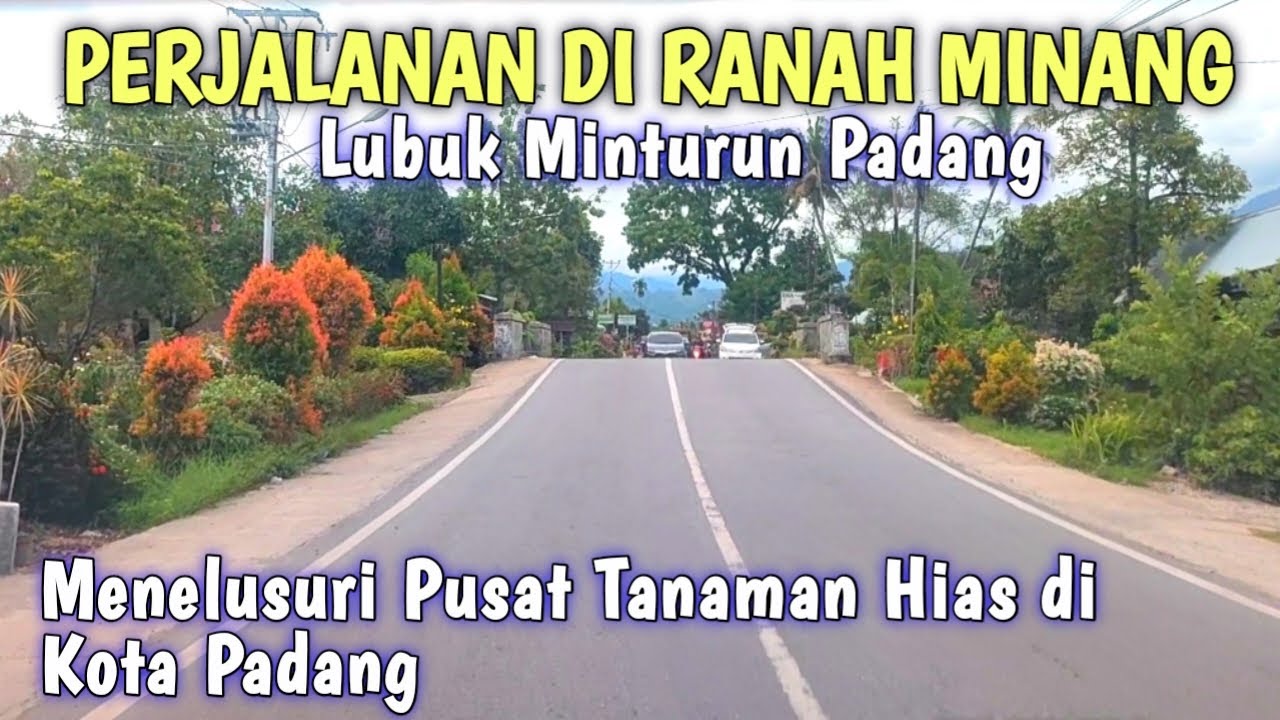 PERJALANAN DI RANAH MINANG, Menelusuri Lubuk Minturun Padang Pusatnya Tanaman Hias di Kota Padang