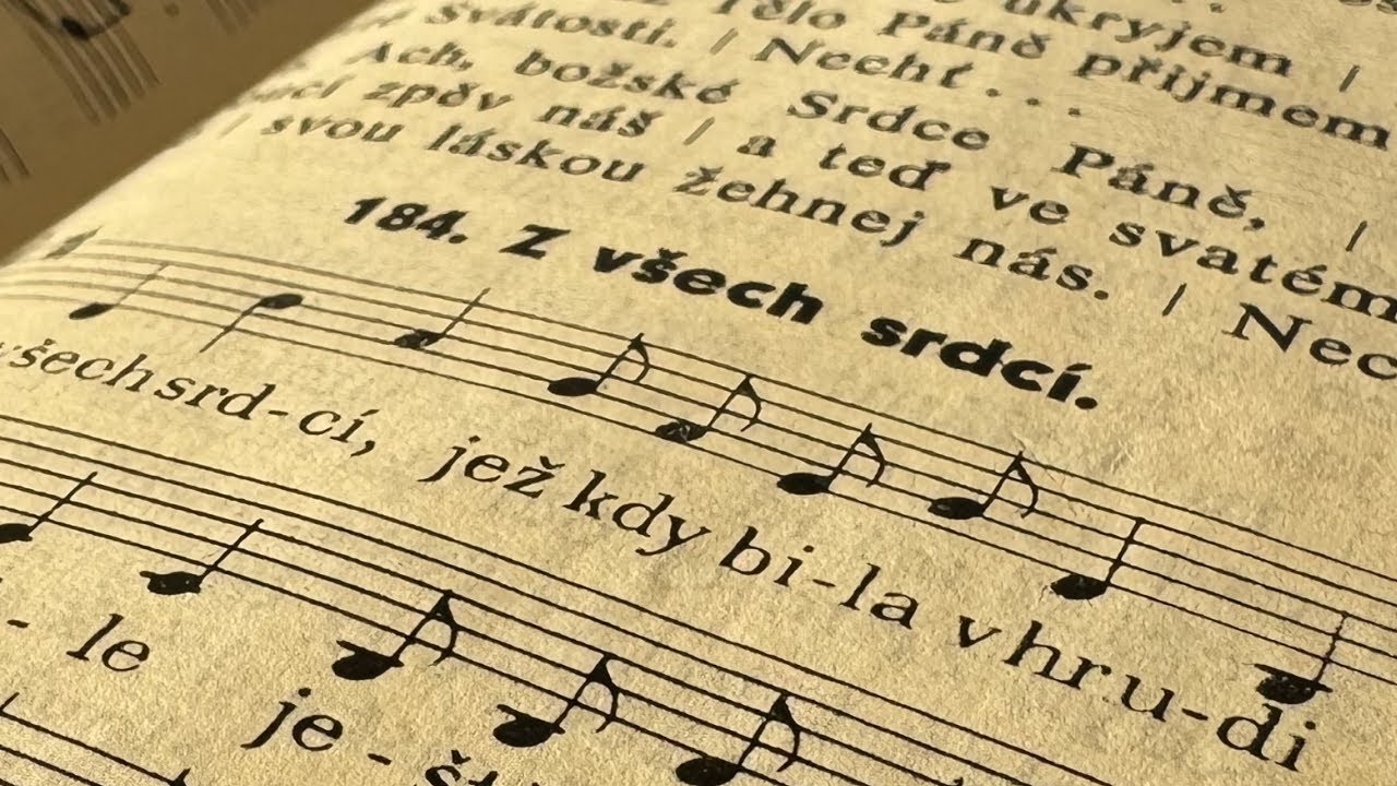 Z všech srdcí