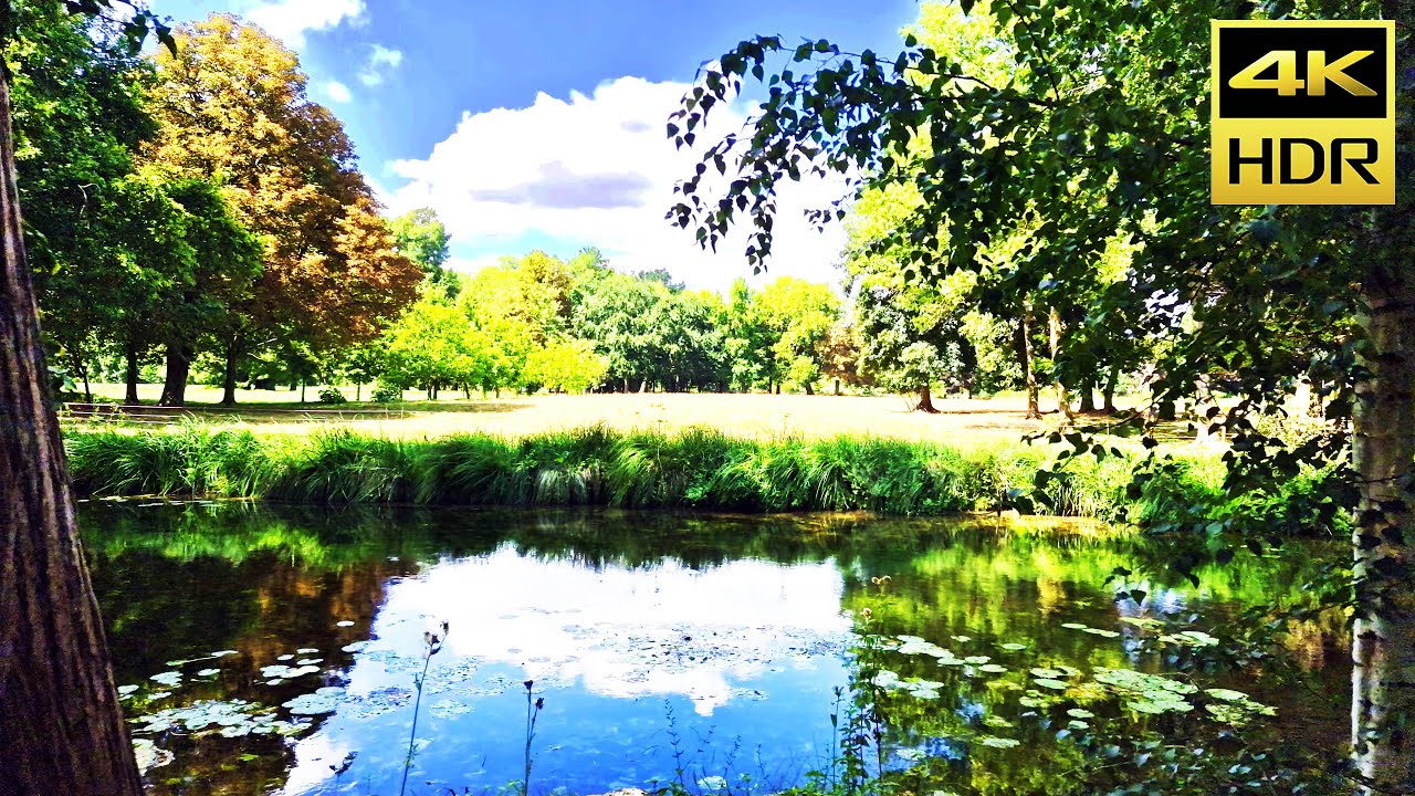 Forest River (HDR10+) 4K Ultra HD Sample Footage HDR10 Plus Video
