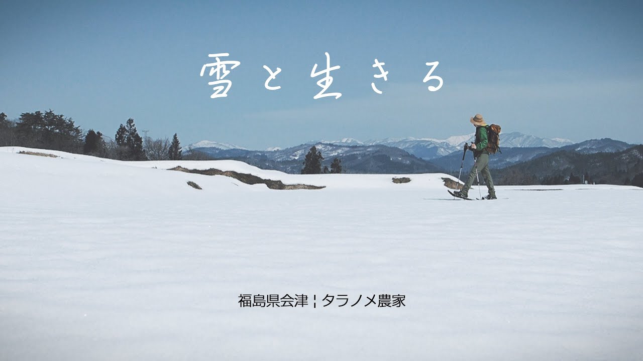 雪と生きる｜福島県会津　タラノメ農家