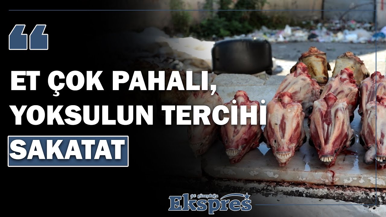 Et çok pahalı, yoksulun tercihi sakatat | Güneydoğu Ekspres Haber