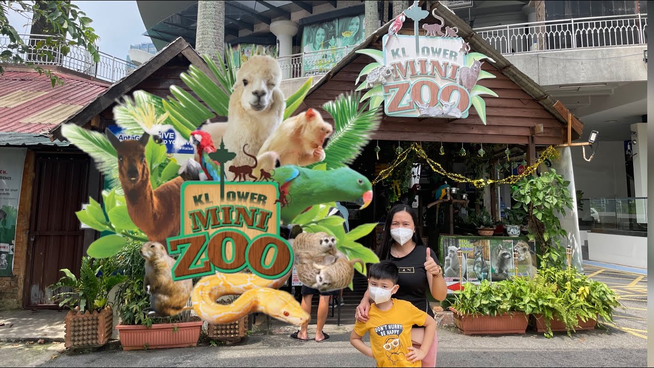 Mini Zoo in Kuala Lumpur | KL Tower Mini Zoo 2022