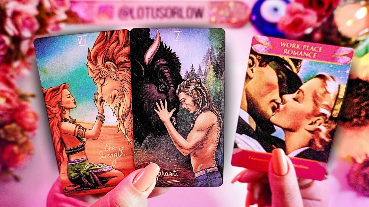 💖QUEM É SEU NOVO AMOR: Como essa relação vai ser + confirmações e caracteristicas | TAROT AMOR
