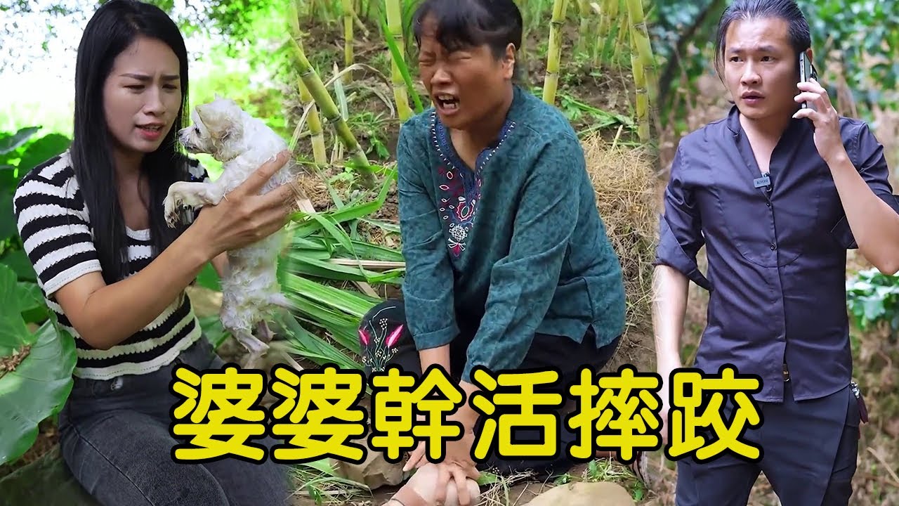 農村婆婆下地幹活摔倒，村裡人趕緊給阿雄打電話，兒子兒媳回來做法感動【Virtuous Hero】