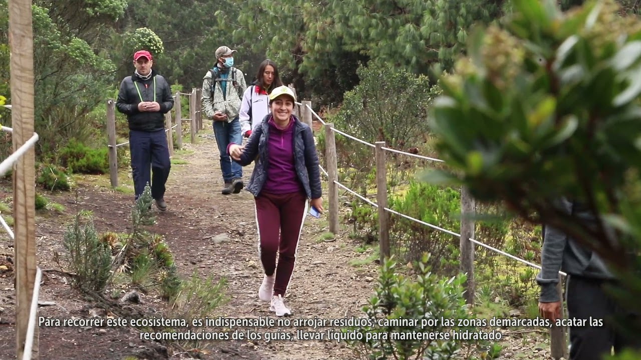 Conoce y disfruta del Camino de los Cerros Guadalupe – Aguanoso