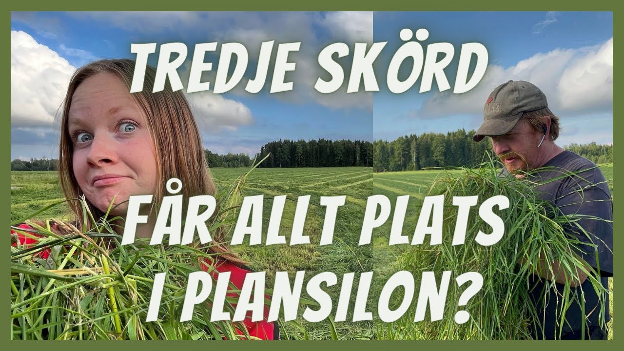 Tredje skörden gav MYCKET gräs - Vlogg 75