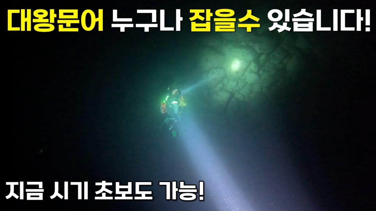 지금 시기 초보자도 잡을수 있습니다!