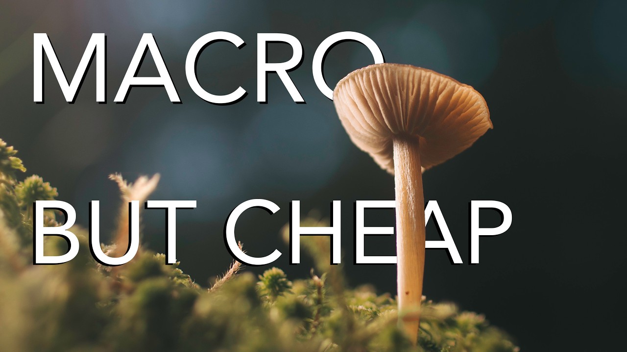 Macro Photography With my Cheapest, Smallest Camera Setup