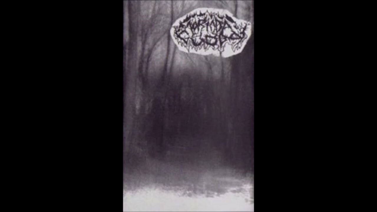 Nortada Gelada - A Traição de Galba