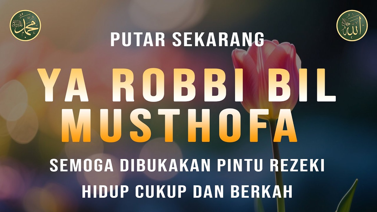 Ya Robbi Bil Musthofa Tanpa Musik, Diampukan Dosa & dikabulkan Hajat, Sholawat Merdu, 16