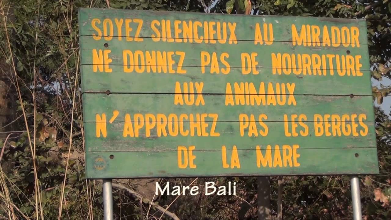 Self Drive Safari to Pendjari NP Benin