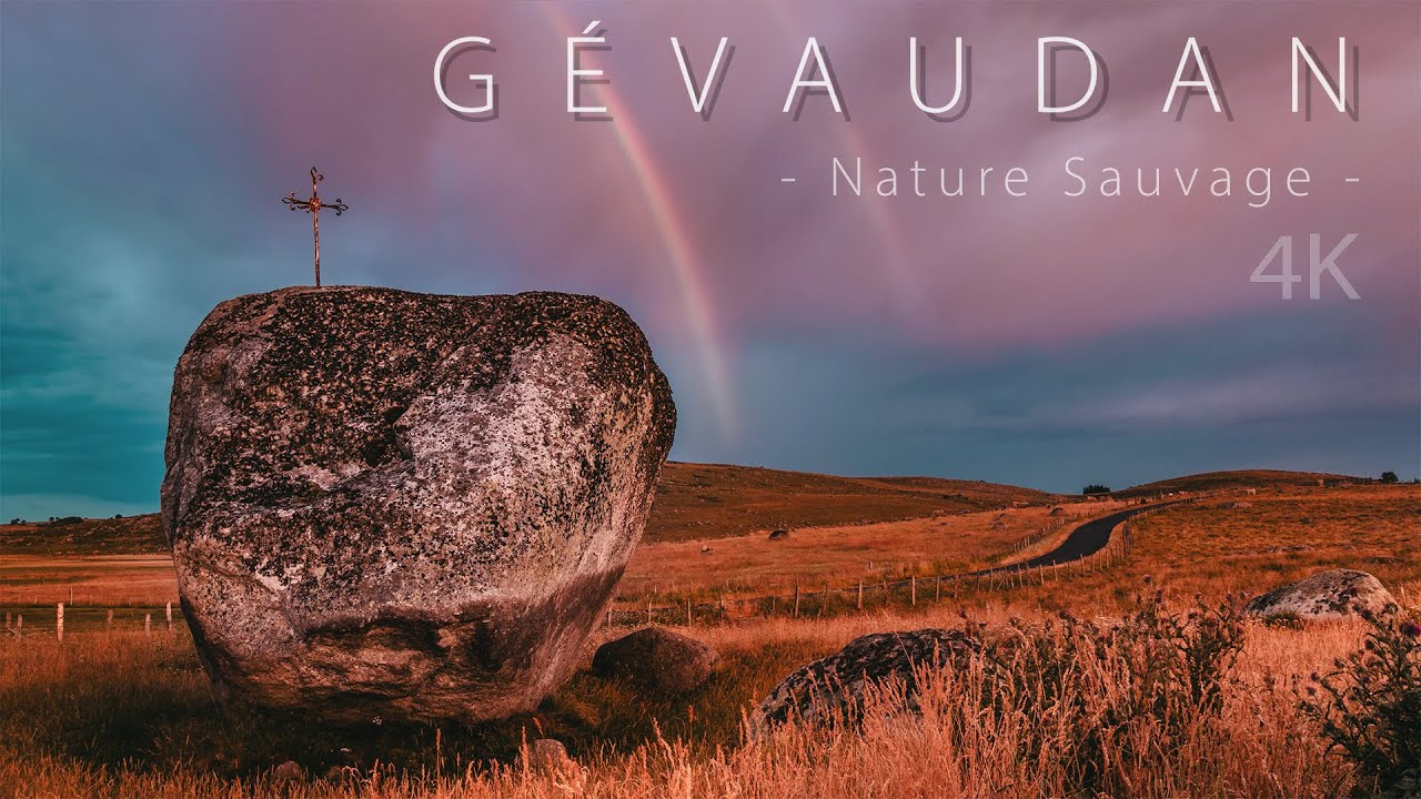 [LOZÈRE] Une nuit d'été sous les étoiles  - Time-Lapse 4K