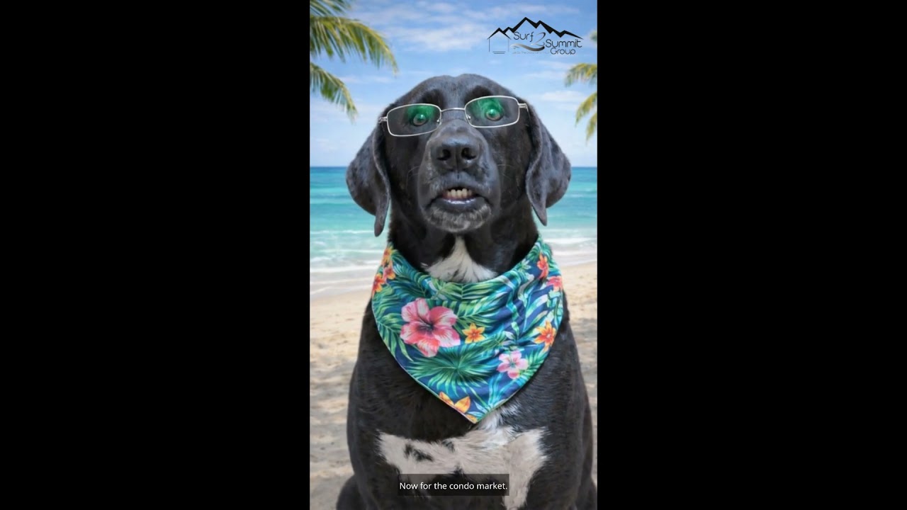 FL 2025 Year End Real Estate Market Stats #HankTheHomeHound #Surf2SummitGroup