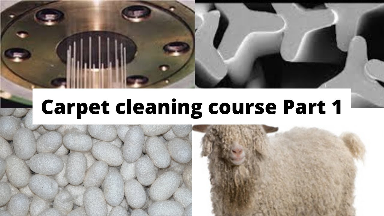 How to clean carpet course Part #1 Fiber Types