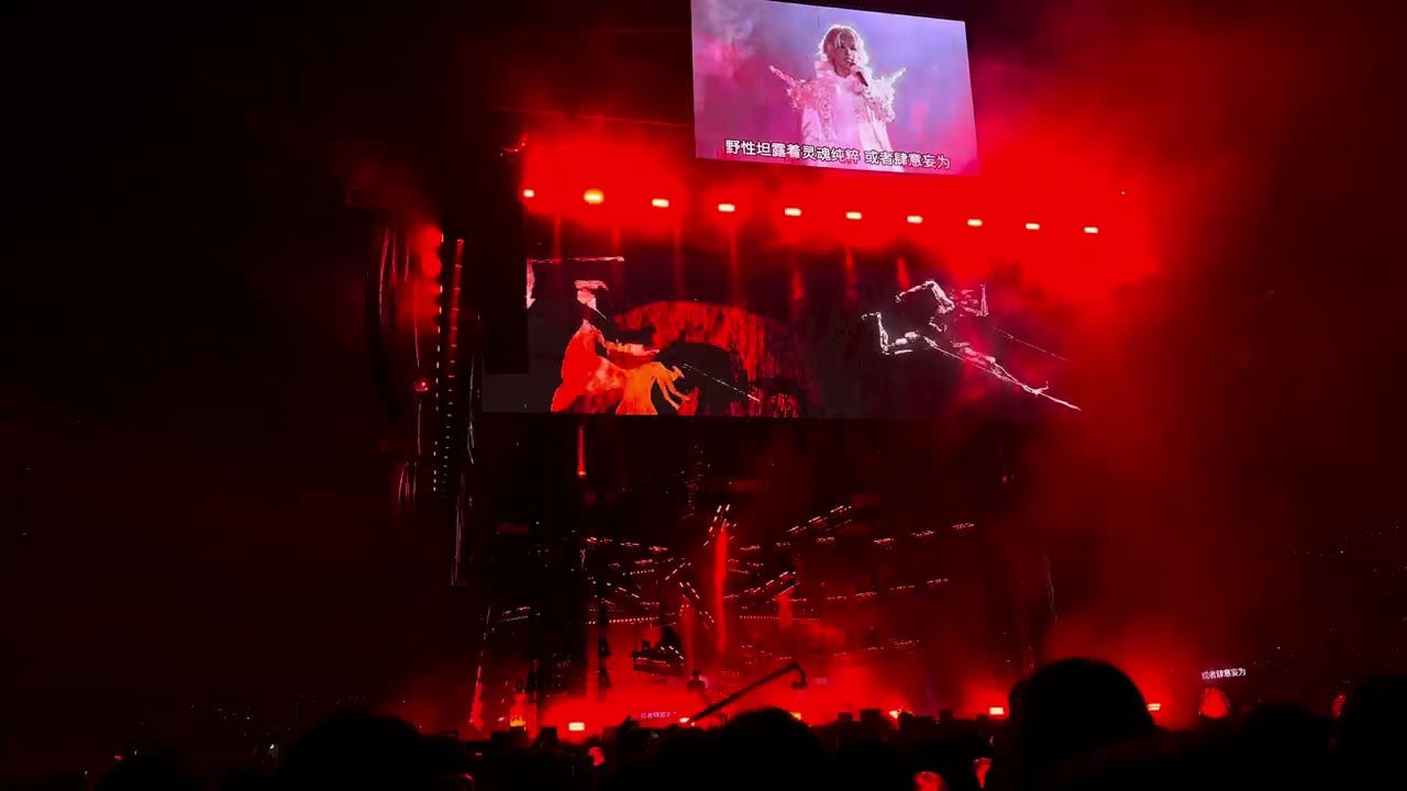 2/7（4）鬥牛